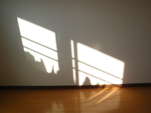 aqP1130080.jpg